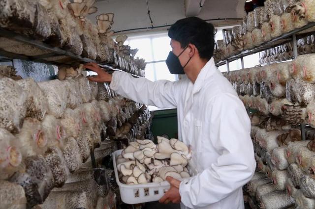 1648433100161344.jpeg 08-53-11-10-283825.jpeg