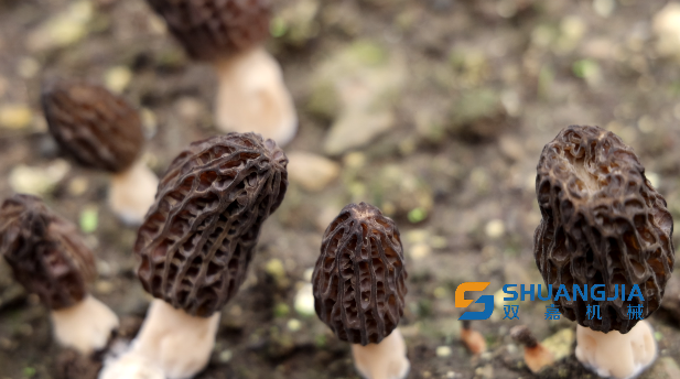 1649553183761691.png 17-21-41-71-283825.png