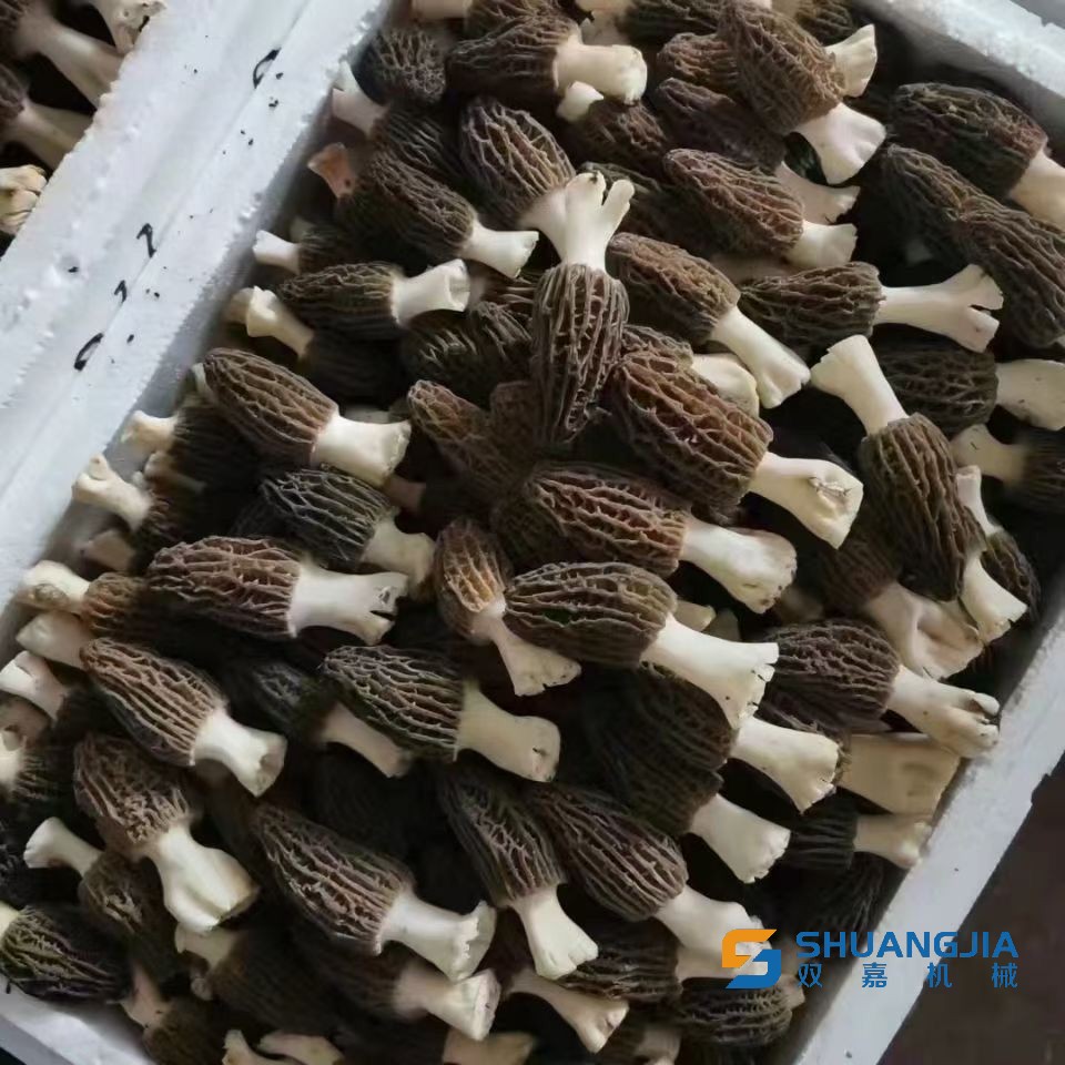 1649553269133742.png 25C33835DD0C1A4BA3E72E364B657849.png