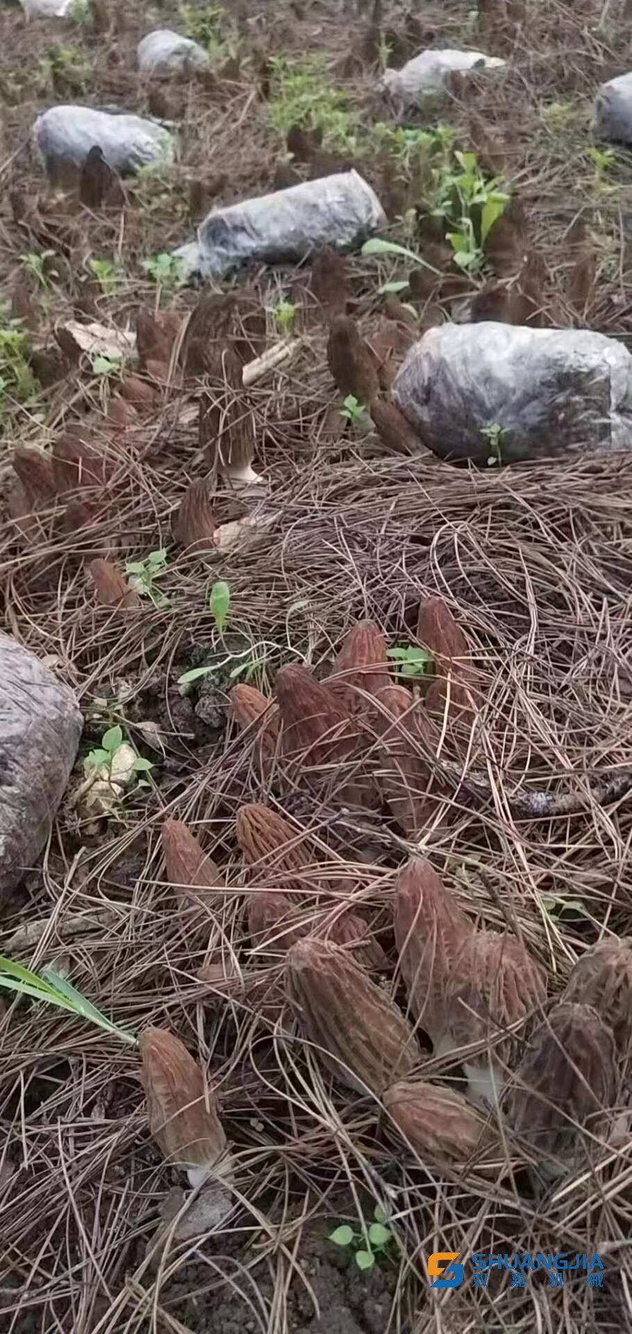 1649578241148942.jpg QQ圖片20220410161021.jpg