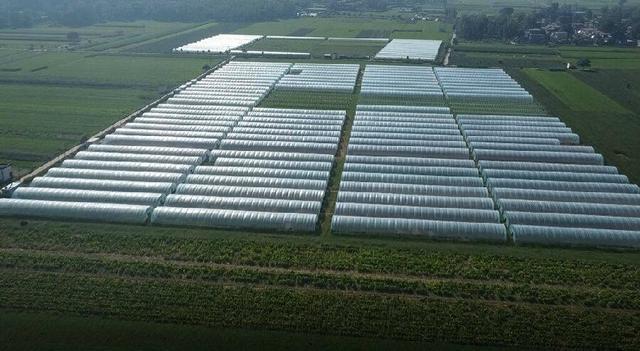 1649729246118010.jpeg 16-39-14-79-283825.jpeg