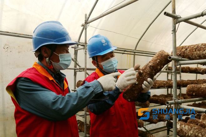 1649729383185222.jpg 下載 (1).jpg