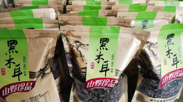 1650332692171982.jpeg 11-54-00-13-283825.jpeg