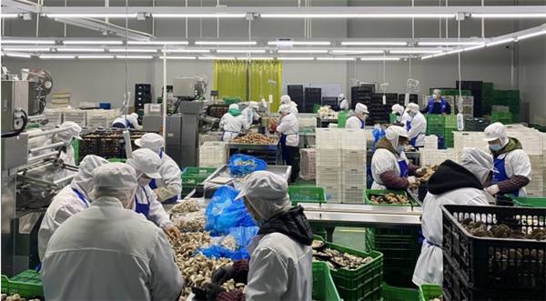 1651541128525720.jpeg 8c533fb32ce045ec9076515b0c428d5a.jpeg