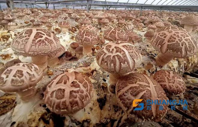 1652148464276793.jpg 09-31-26-27-283825.jpg