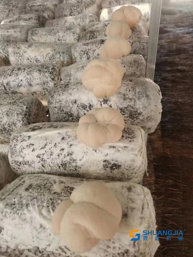 1652232198103146.jpg 10-37-43-46-283825.jpg