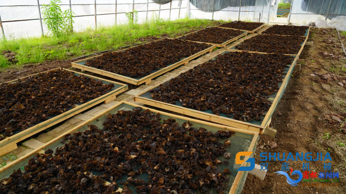 1652492365313819.png 15-39-19-70-283825.png