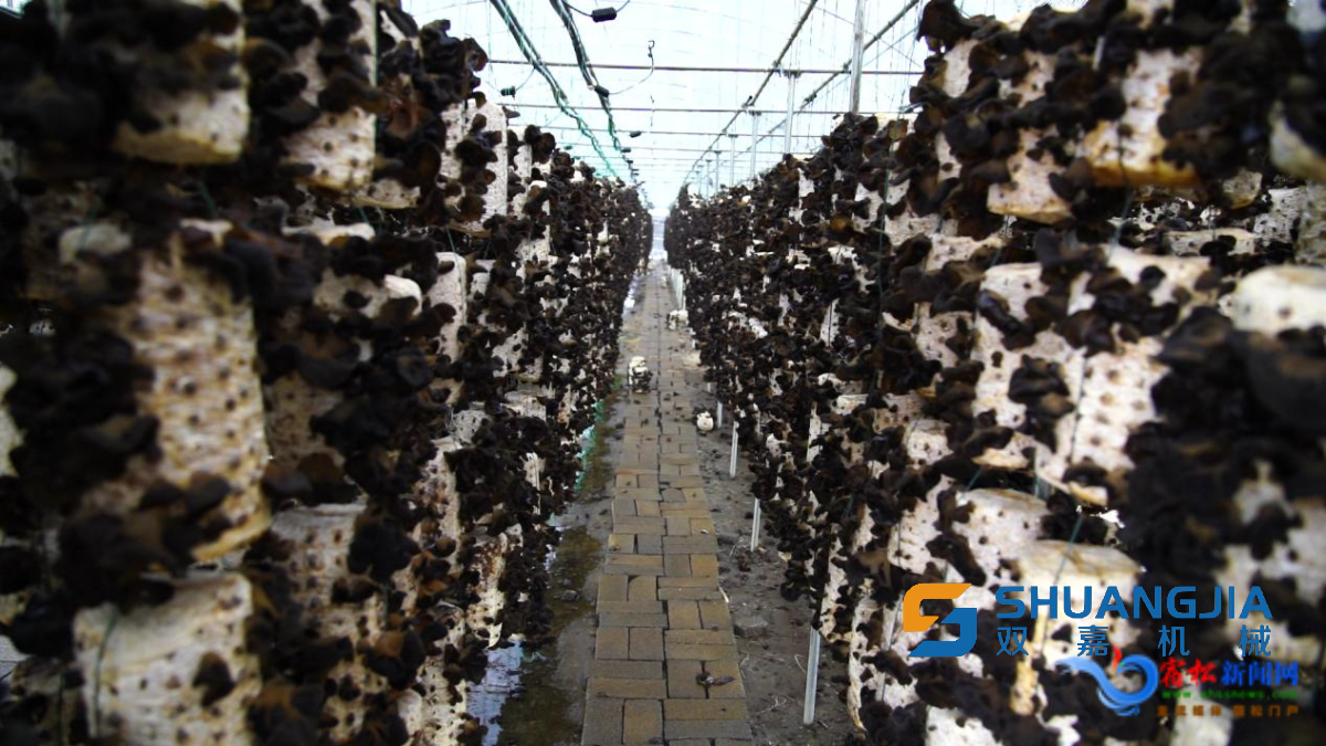 1652492390212761.png 15-39-35-89-283825.png