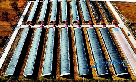 1652579586205479.jpg d838-c908413db5e2381bd64349c3f4506c5b.jpg