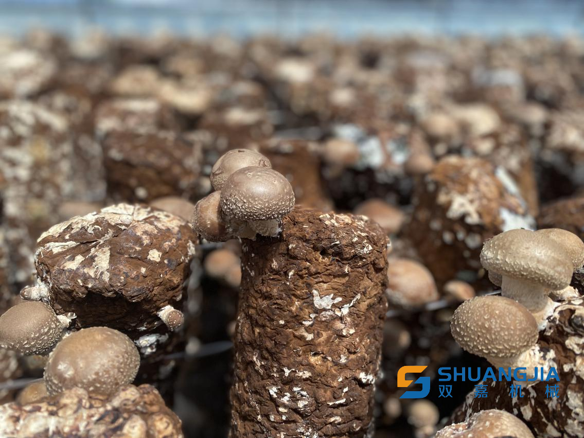 1652752177225017.png 11-24-03-95-283825.png