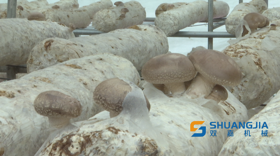 1652834143901028.jpg 09-42-12-43-283825.jpg