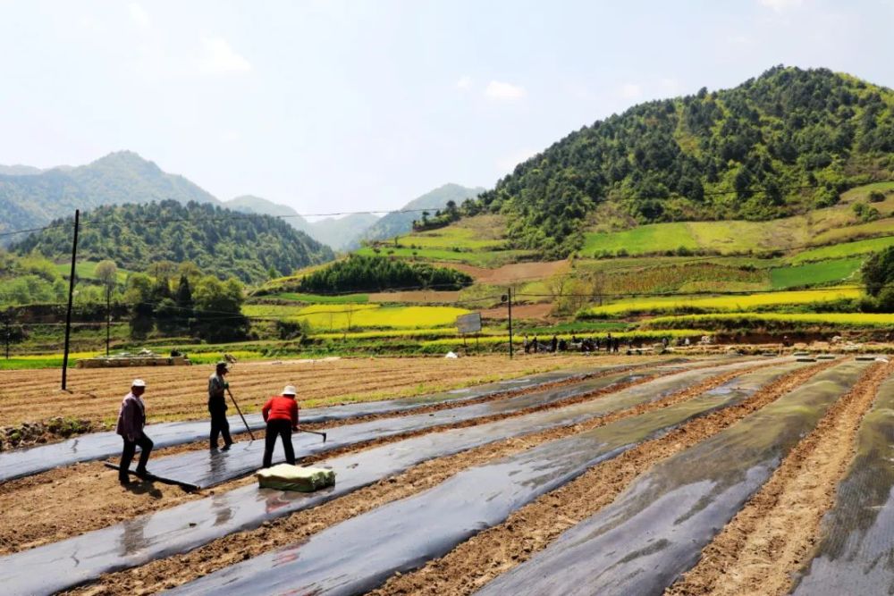 1652923357917446.jpeg 16-31-40-44-283825.jpeg