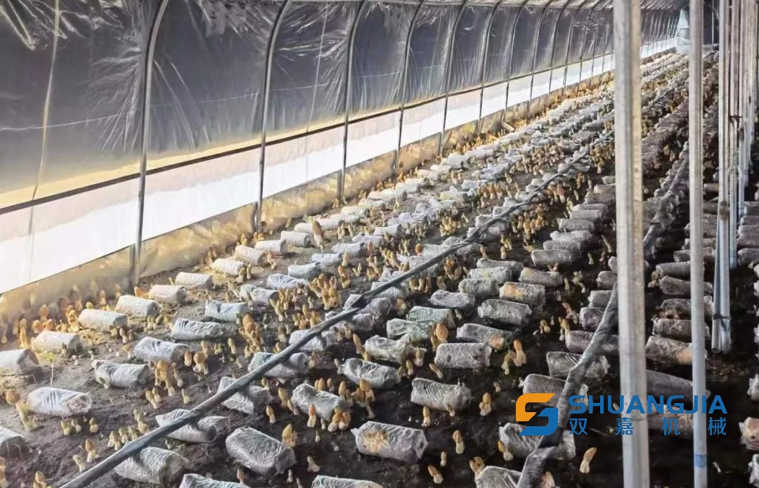 1653012349116910.jpg 14-14-32-17-283825.jpg