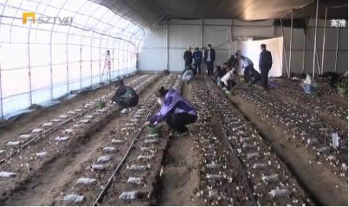 1653012538734452.jpeg 14-33-43-51-283825.jpeg