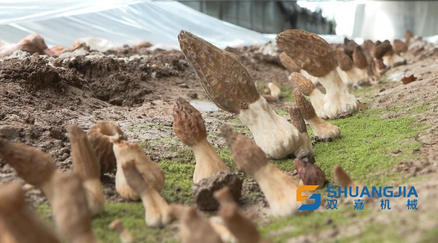 1653012674148338.jpg 17-19-56-56-283825.jpg