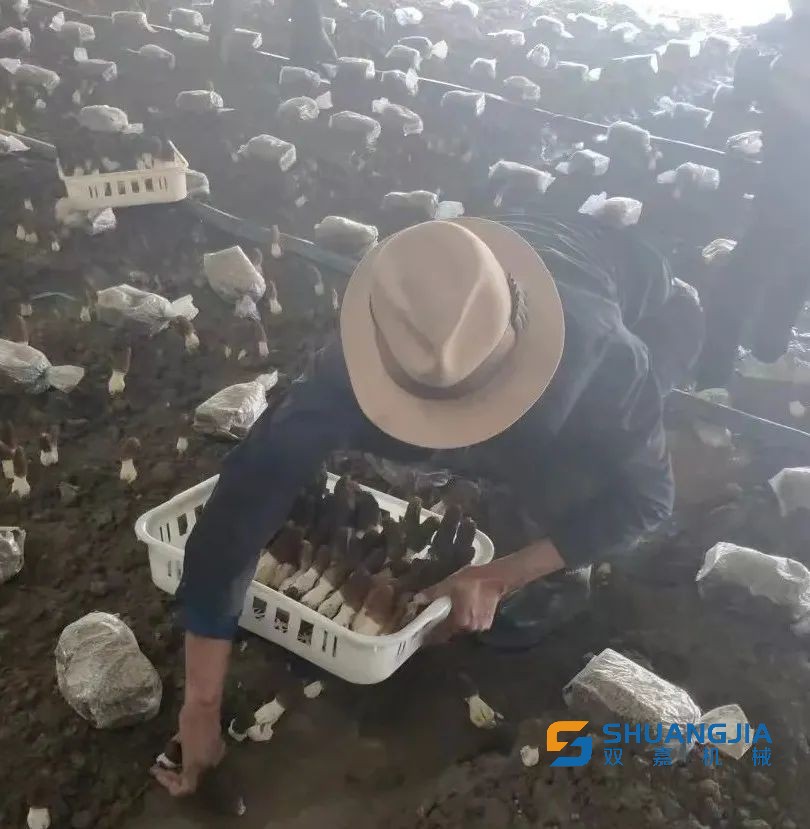 1653441725613076.jpg 10-26-49-72-283825.jpg