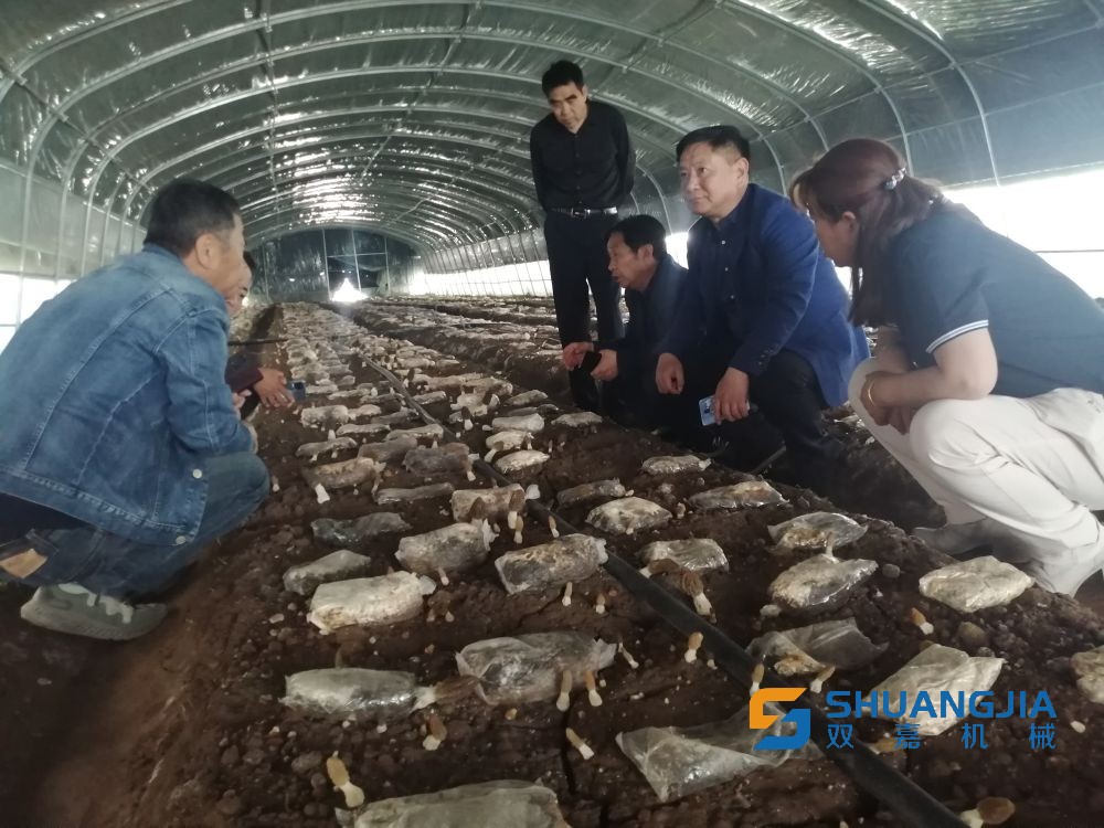 1653527383165128.jpg 15-32-39-93-283825.jpg