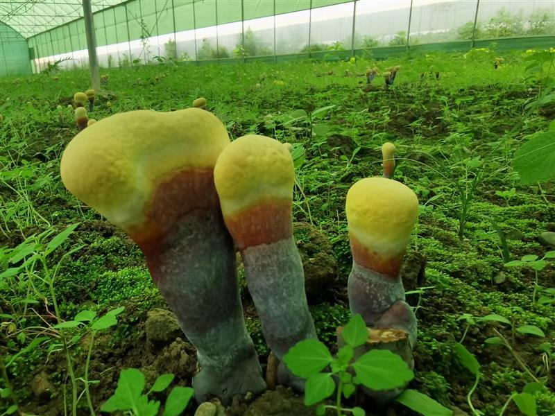 1654129134143013.jpeg 735132007e153a09667f3840e0d3fa02.jpeg