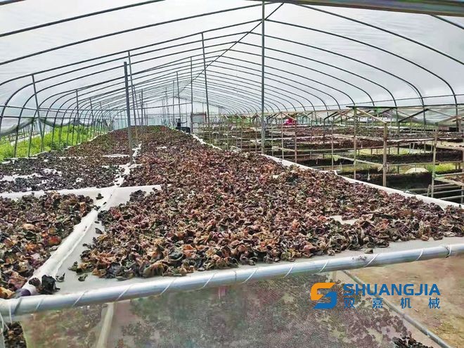 1654129761335589.jpg 下載 (2).jpg