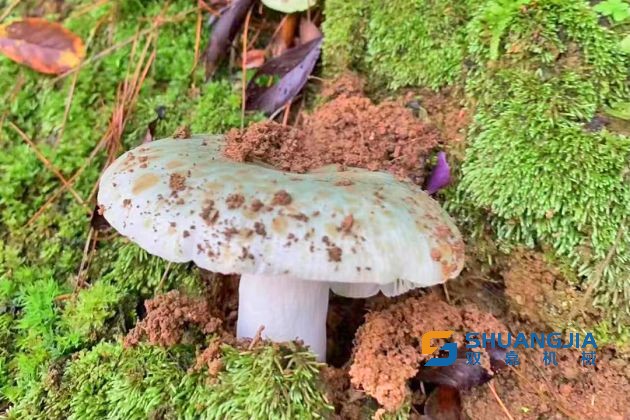 1654220571119060.jpg 15-37-28-20-283825.jpg