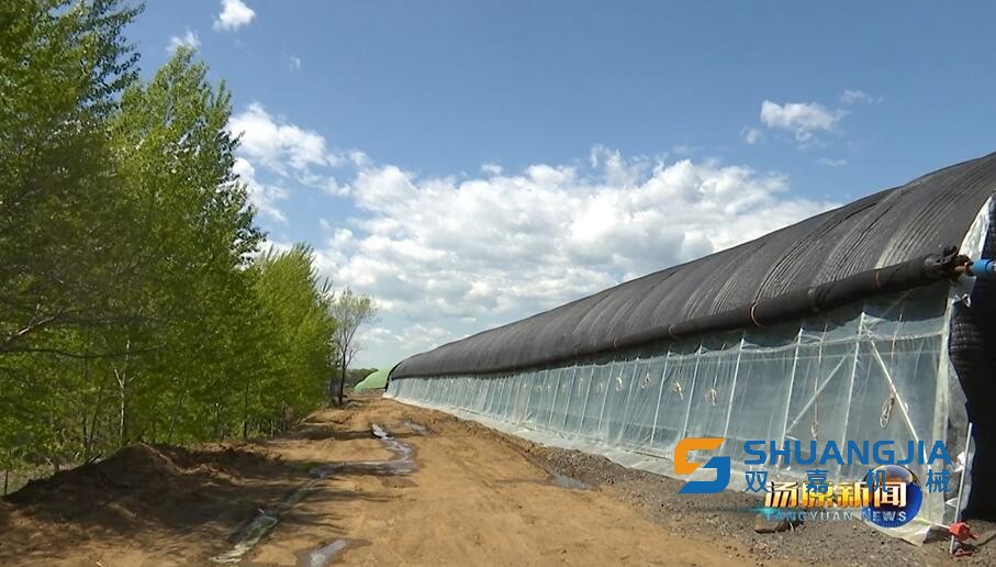 1654408644405832.jpg 1654297996391052341.jpg