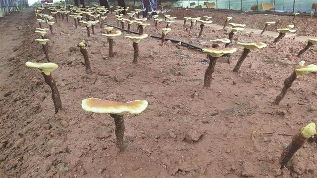 1654740120154123.jpeg 15-42-39-43-283825.jpeg