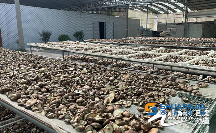 1655428014420816.png 13-53-13-16-283825.png