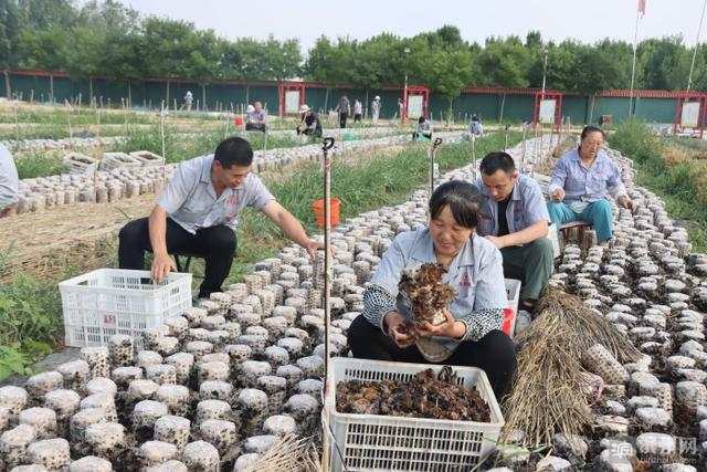 1655523521131159.jpeg 10-25-23-87-283825.jpeg