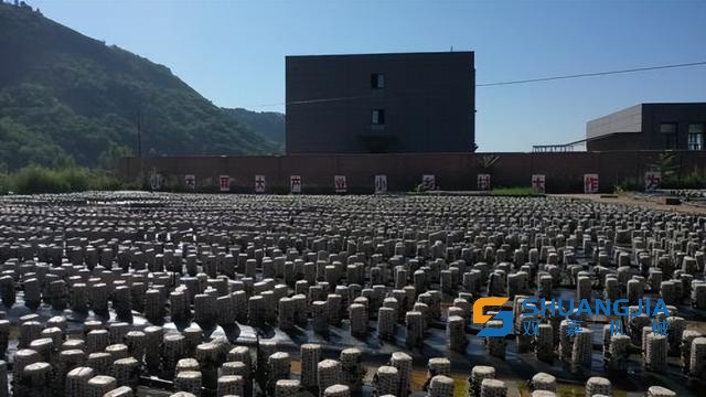 1655801004119319.jpg 14-29-04-48-283825.jpg