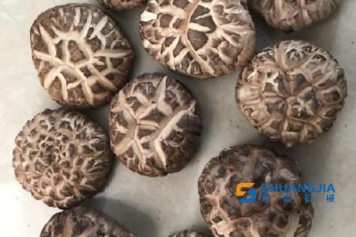 1655946032192836.jpg 14-38-24-76-283825.jpg