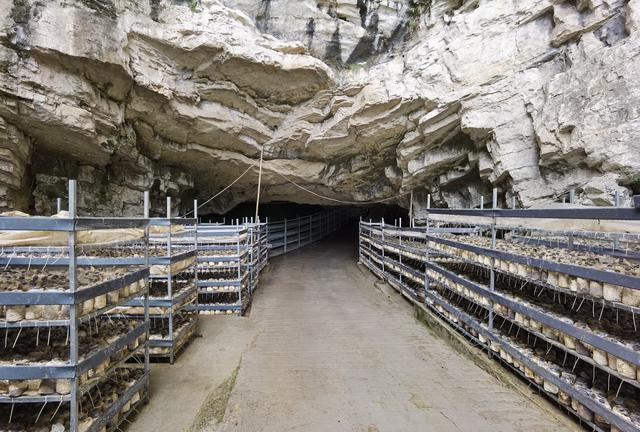 1656036996136297.jpeg 08-58-25-32-283825.jpeg