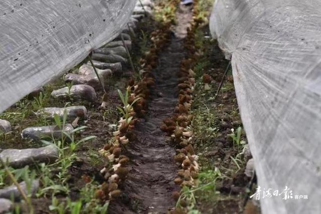 1656465982154051.jpeg 20-06-27-77-283825.jpeg