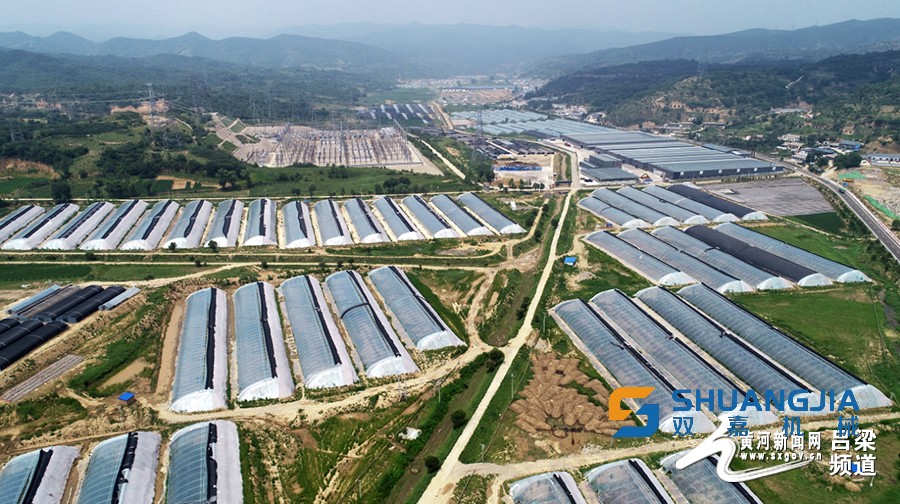 1656553600775095.jpg 17-17-42-47-283825.jpg