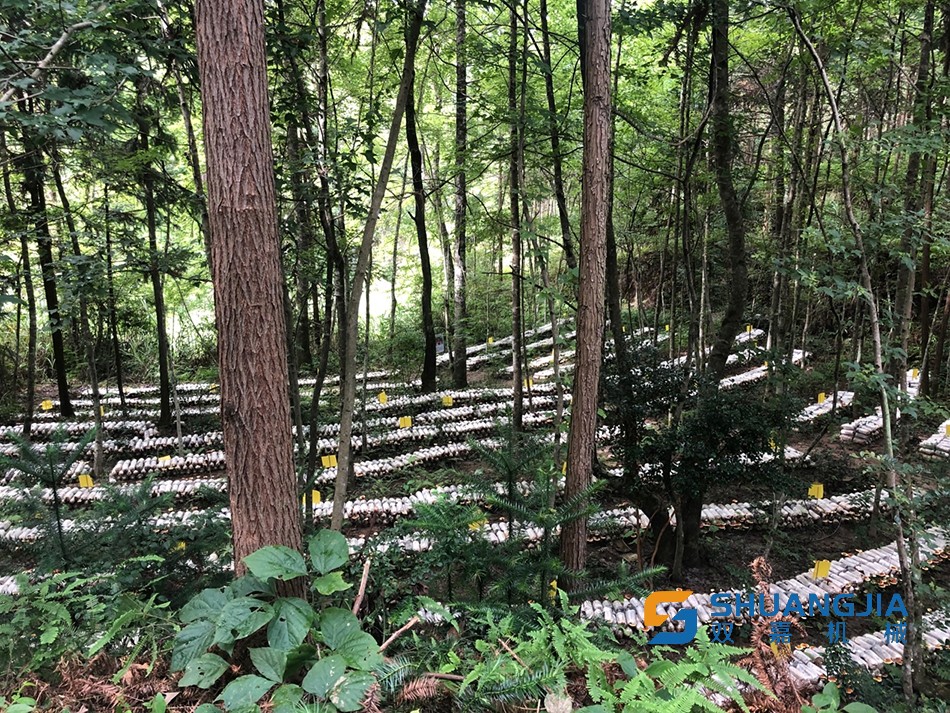 1656901279202356.jpg 563.jpg