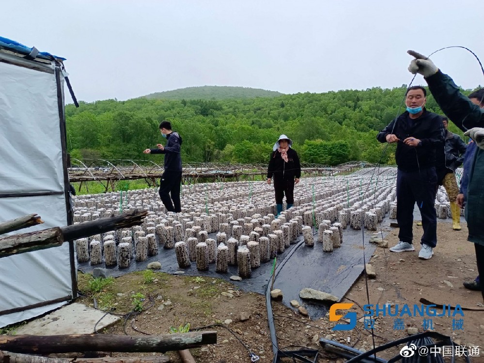 1656986312128780.jpg 21-39-57-48-283825.jpg