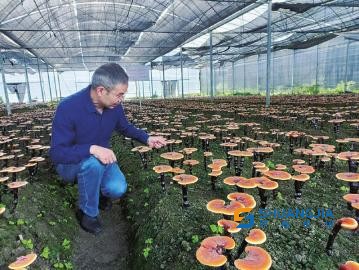 1657428234214628.jpg 21-52-28-52-283825.jpg