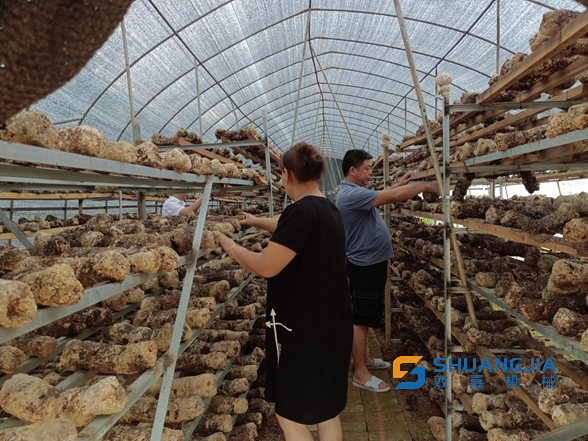 1658111962162374.png 23-06-41-21-283825.png