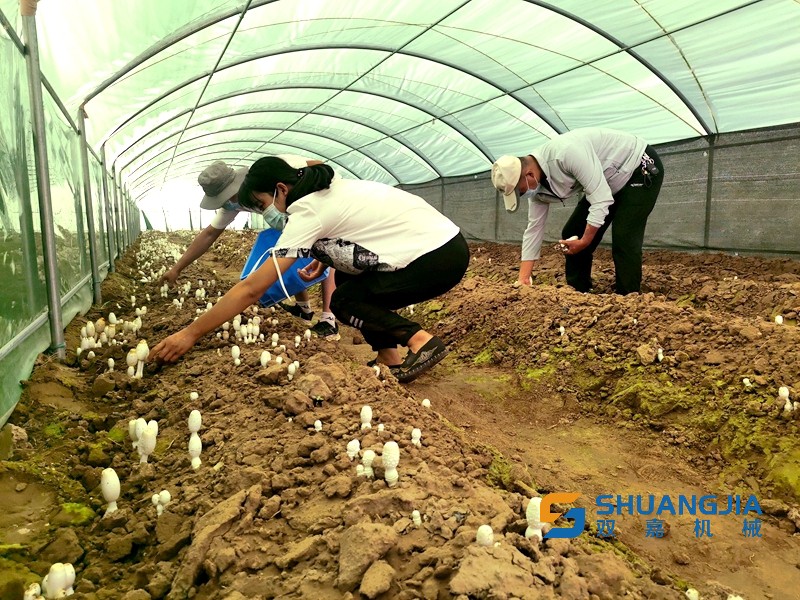 1659067011134070.jpg 09-10-52-40-283825.jpg