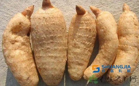 1659405065195377.jpg 15-32-52-28-283825.jpg