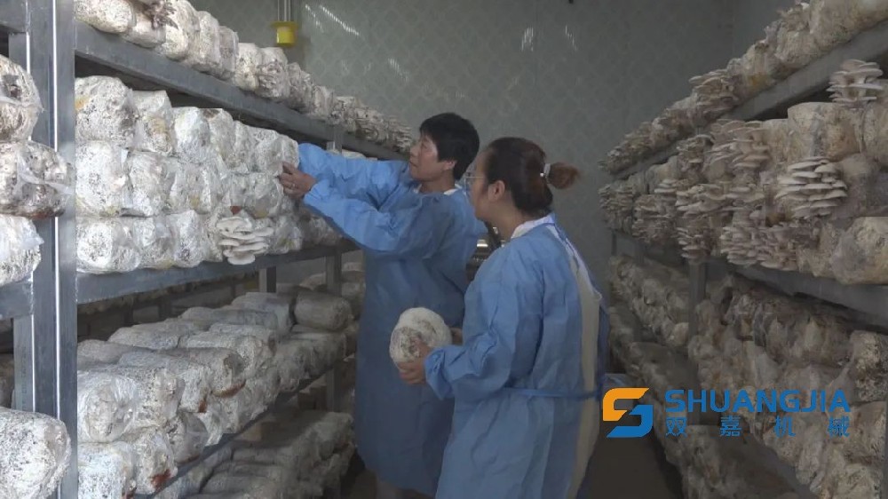 1660271121118394.jpg 15-19-23-96-283825.jpg