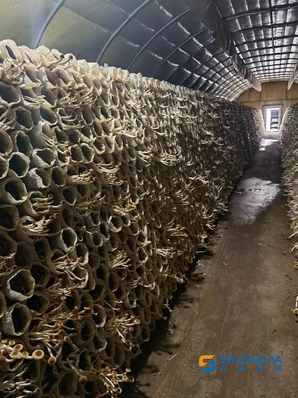 1661233681743700.jpg 14-04-45-83-283825.jpg