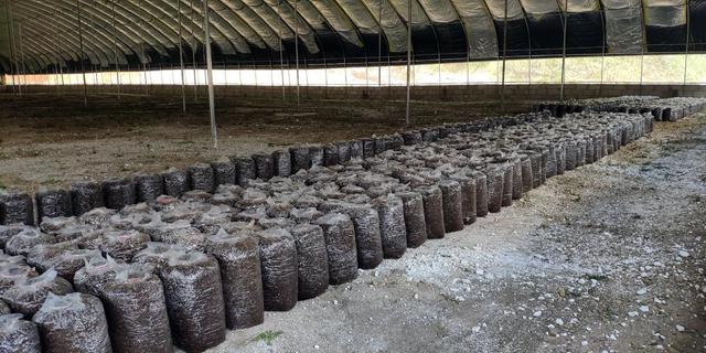 1661481560124930.jpeg 09-39-30-12-283825.jpeg