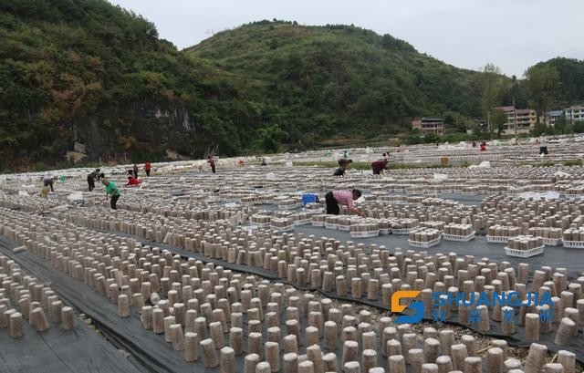 1665639200104980.jpg 09-31-10-64-283825.jpg