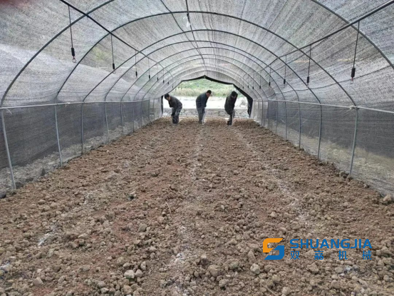 1672747196831944.png 10-06-05-78-283825.png