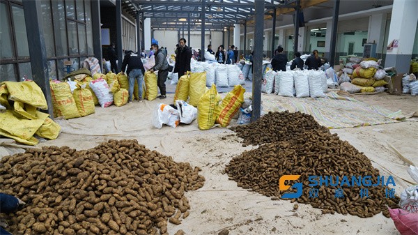 1674616726409083.jpg 08-03-23-59-281170.jpg