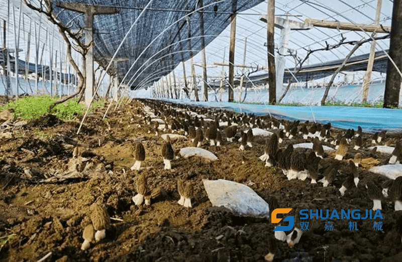 1676644958124425.png 15-31-23-16-283825.png