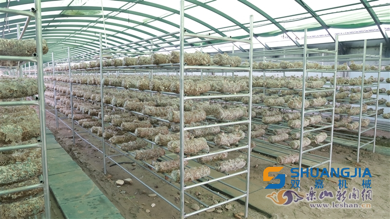 1676645179201833.png 09-04-49-46-283825.png