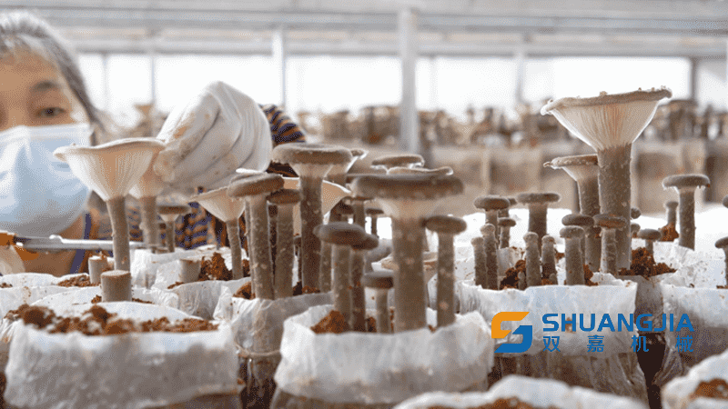 1679154035461446.png 16-51-10-68-283825.png