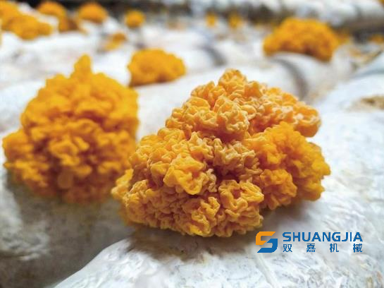 1681447938187651.png 10-49-43-52-451102.png